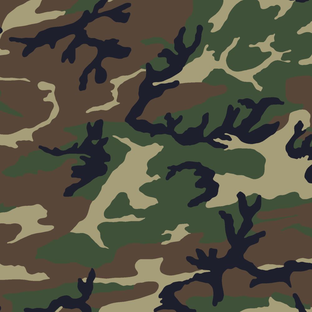 M81 Woodlands  Camouflage Pattern 