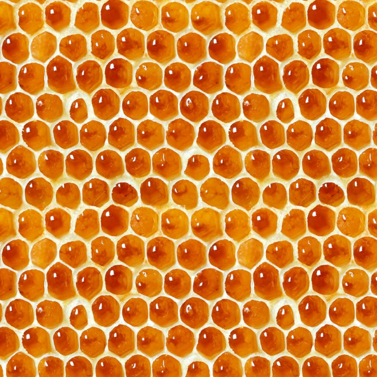  Honeycomb Pattern 