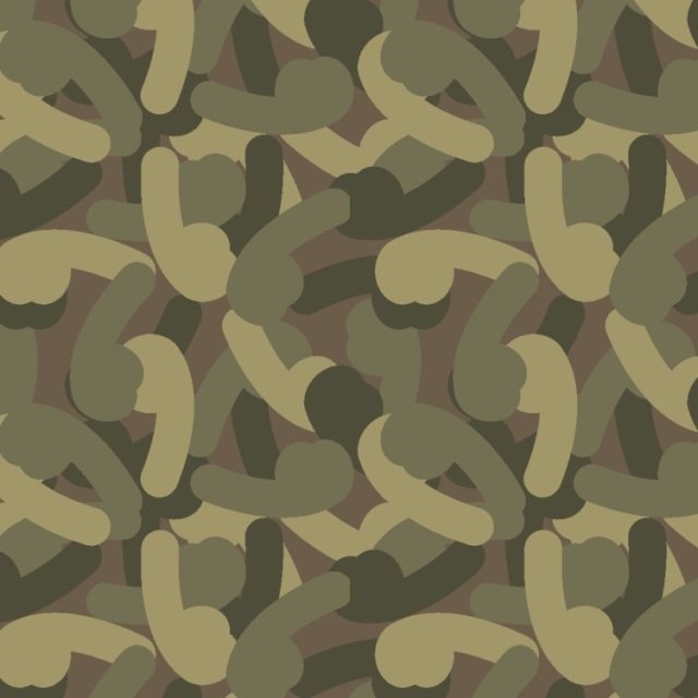 Le nouveau camouflage des soldats de l'armée de Terre pour 2024 - Page 2 S189772745713394276_p4526_i53_w640