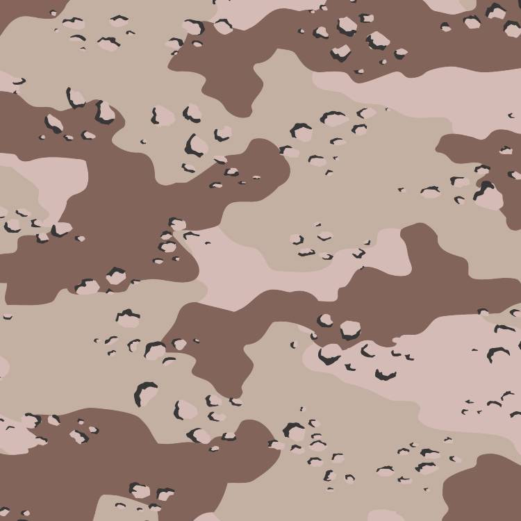 Chocolate Chip Desert Storm 22 Camouflage Pattern
